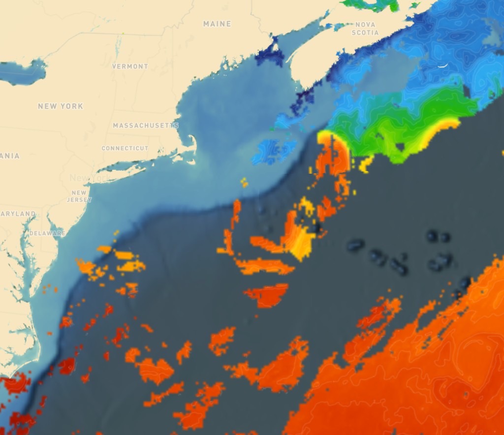 BigBlue map showing sea surface temperature